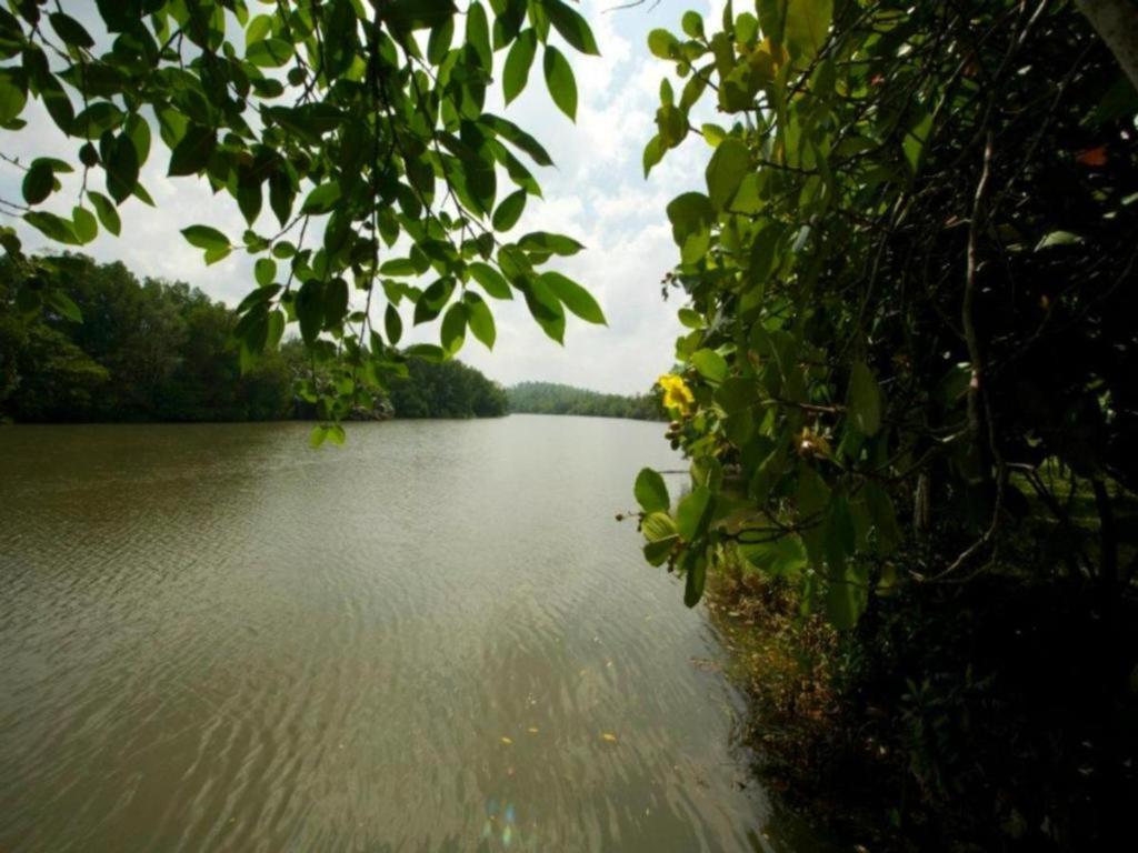 Mangrove Escapes Resort Bentota Bagian luar foto