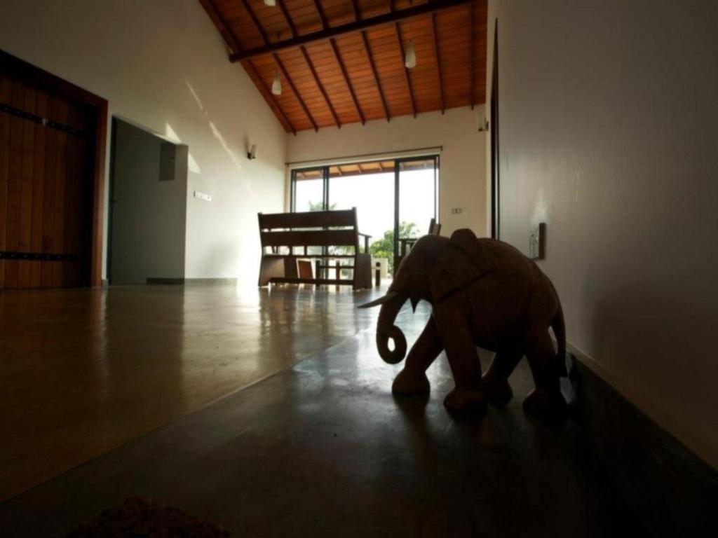 Mangrove Escapes Resort Bentota Bagian luar foto