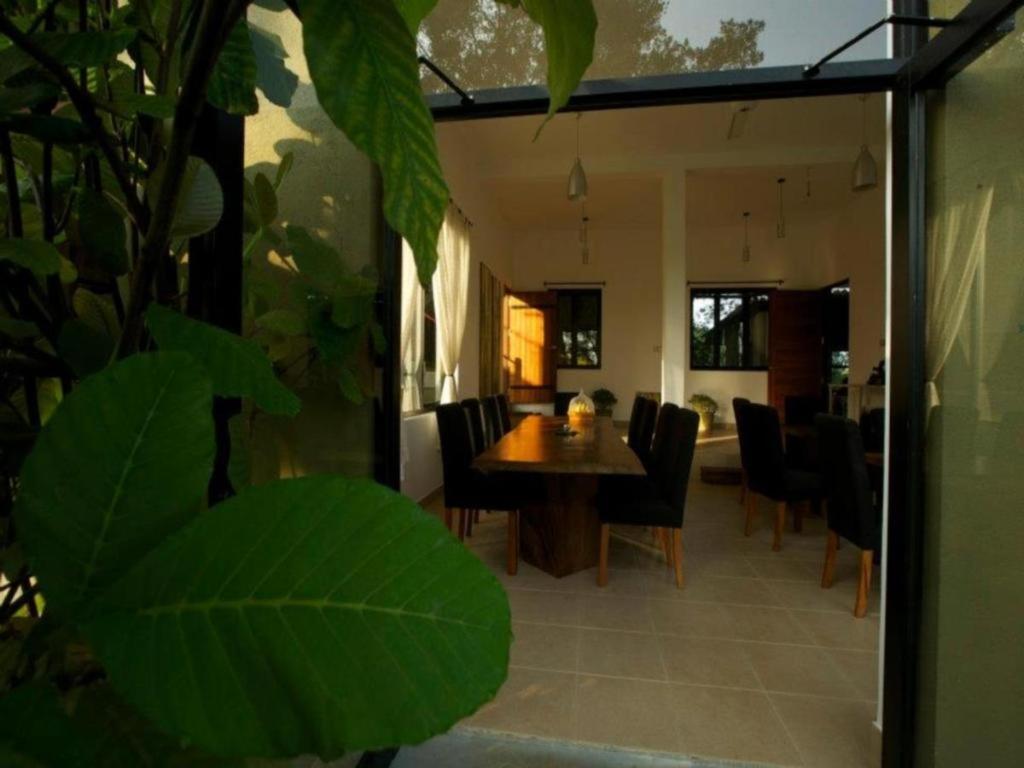 Mangrove Escapes Resort Bentota Bagian luar foto