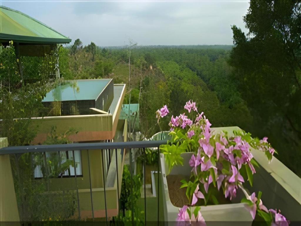 Mangrove Escapes Resort Bentota Bagian luar foto