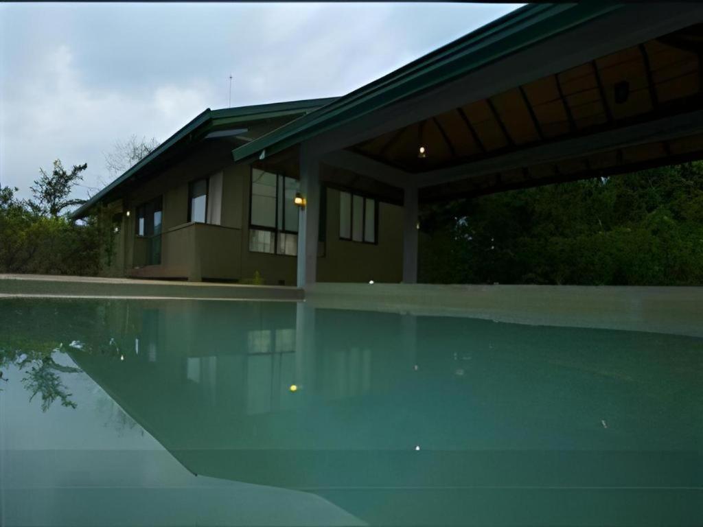 Mangrove Escapes Resort Bentota Bagian luar foto