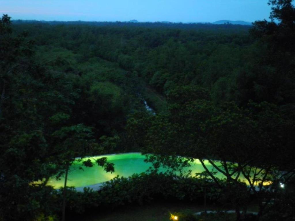 Mangrove Escapes Resort Bentota Bagian luar foto