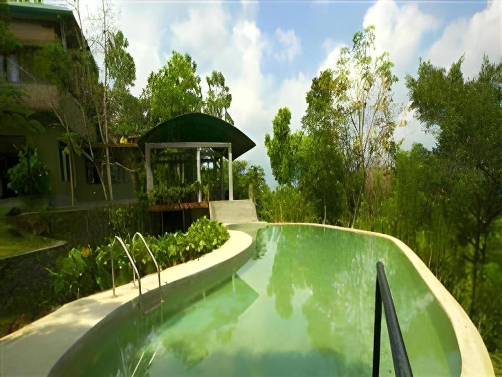 Mangrove Escapes Resort Bentota Bagian luar foto