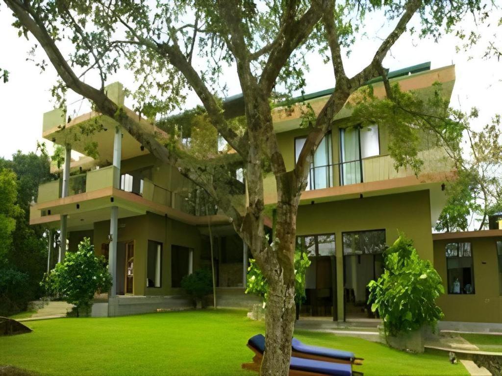 Mangrove Escapes Resort Bentota Bagian luar foto