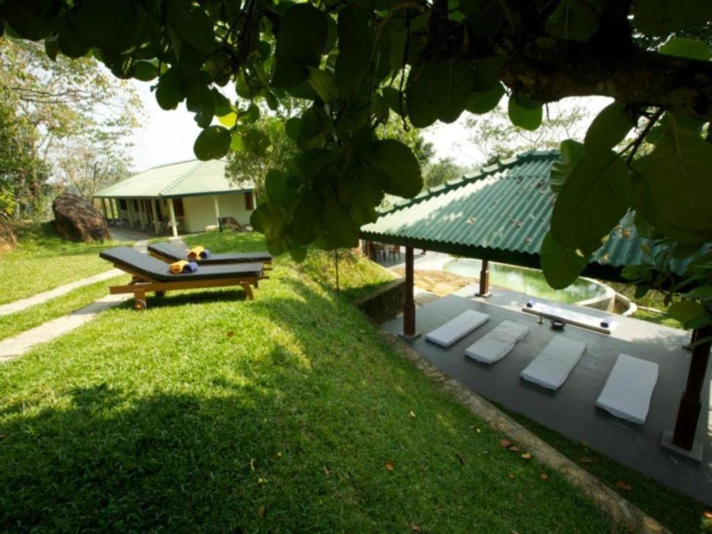 Mangrove Escapes Resort Bentota Bagian luar foto
