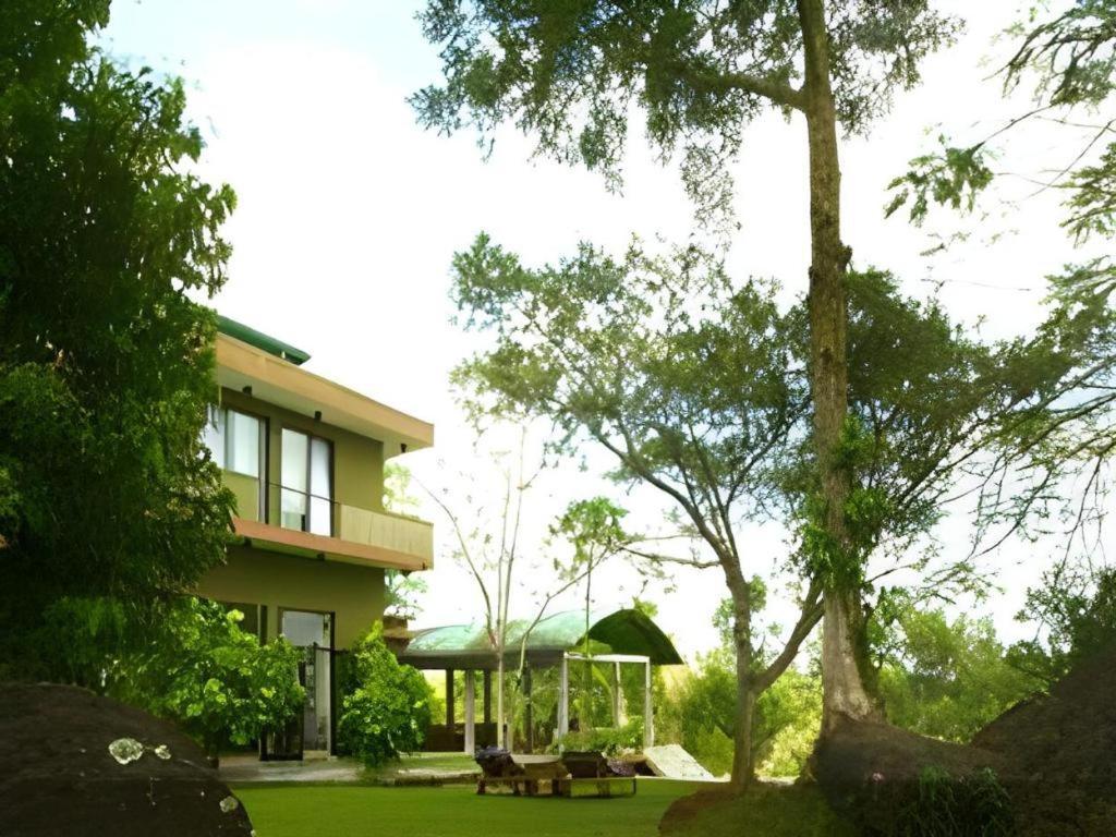 Mangrove Escapes Resort Bentota Bagian luar foto