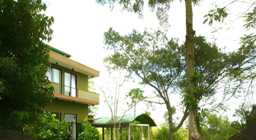 Mangrove Escapes Resort Bentota Bagian luar foto