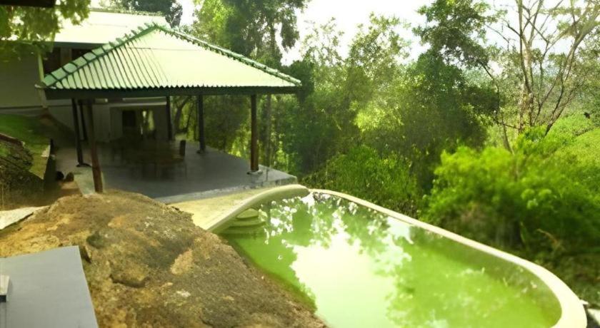 Mangrove Escapes Resort Bentota Bagian luar foto