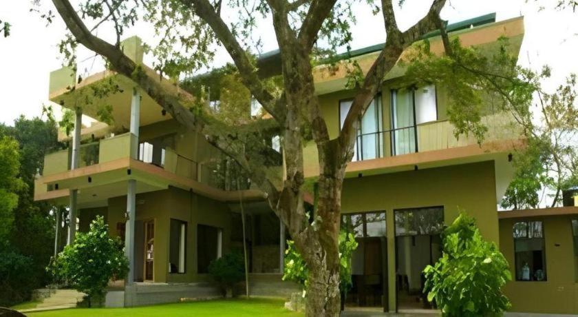 Mangrove Escapes Resort Bentota Bagian luar foto