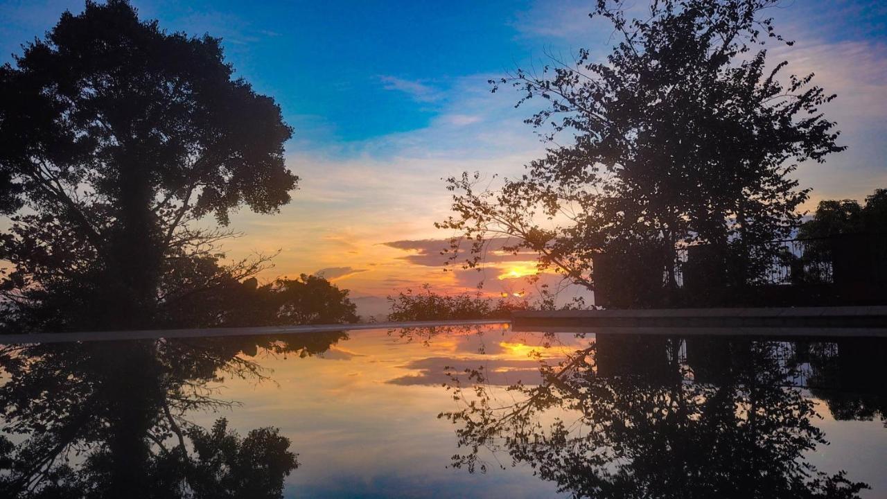 Mangrove Escapes Resort Bentota Bagian luar foto