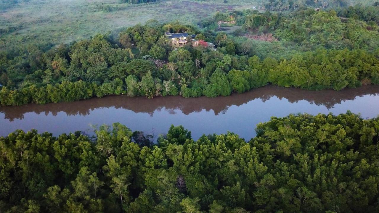 Mangrove Escapes Resort Bentota Bagian luar foto