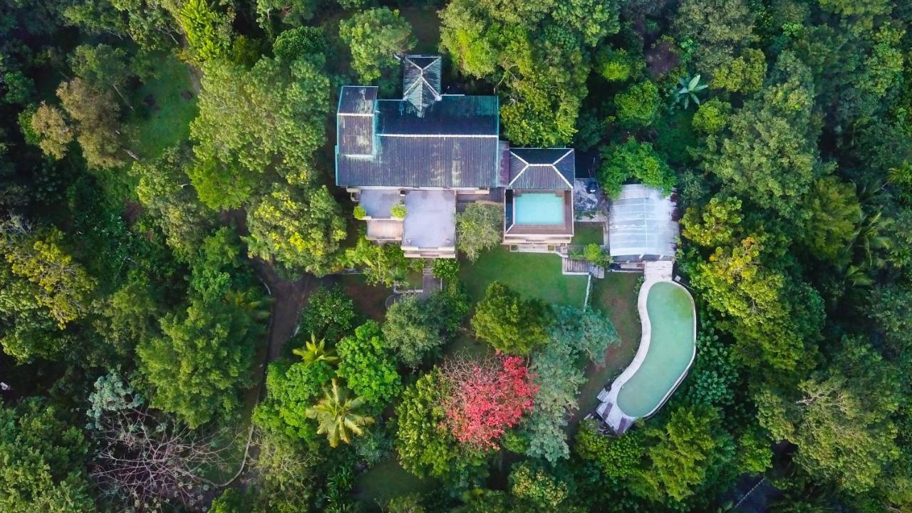 Mangrove Escapes Resort Bentota Bagian luar foto