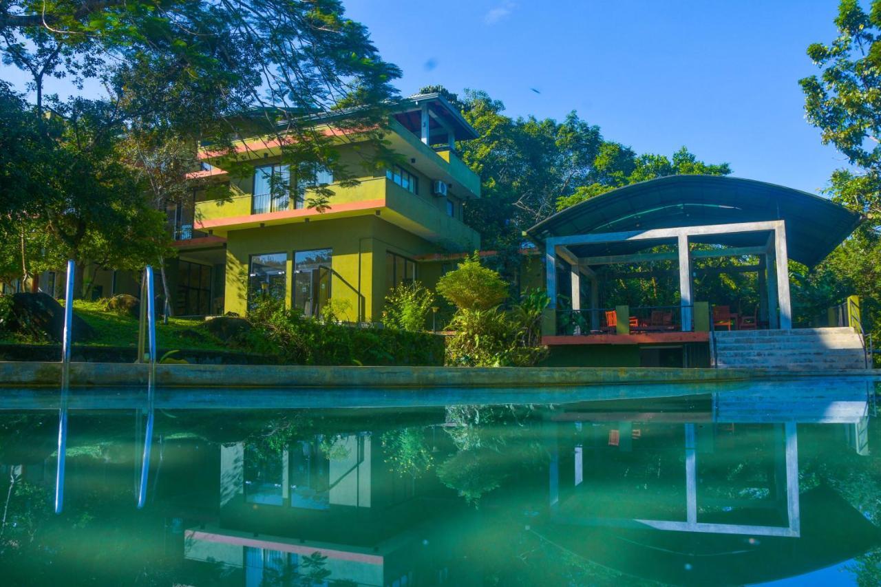 Mangrove Escapes Resort Bentota Bagian luar foto
