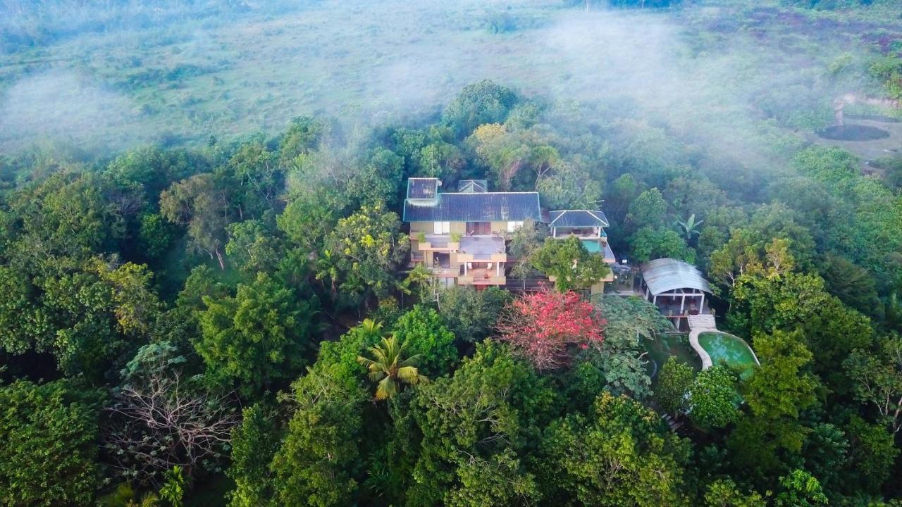Mangrove Escapes Resort Bentota Bagian luar foto