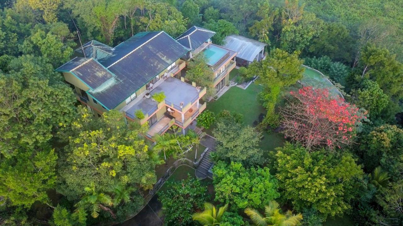 Mangrove Escapes Resort Bentota Bagian luar foto