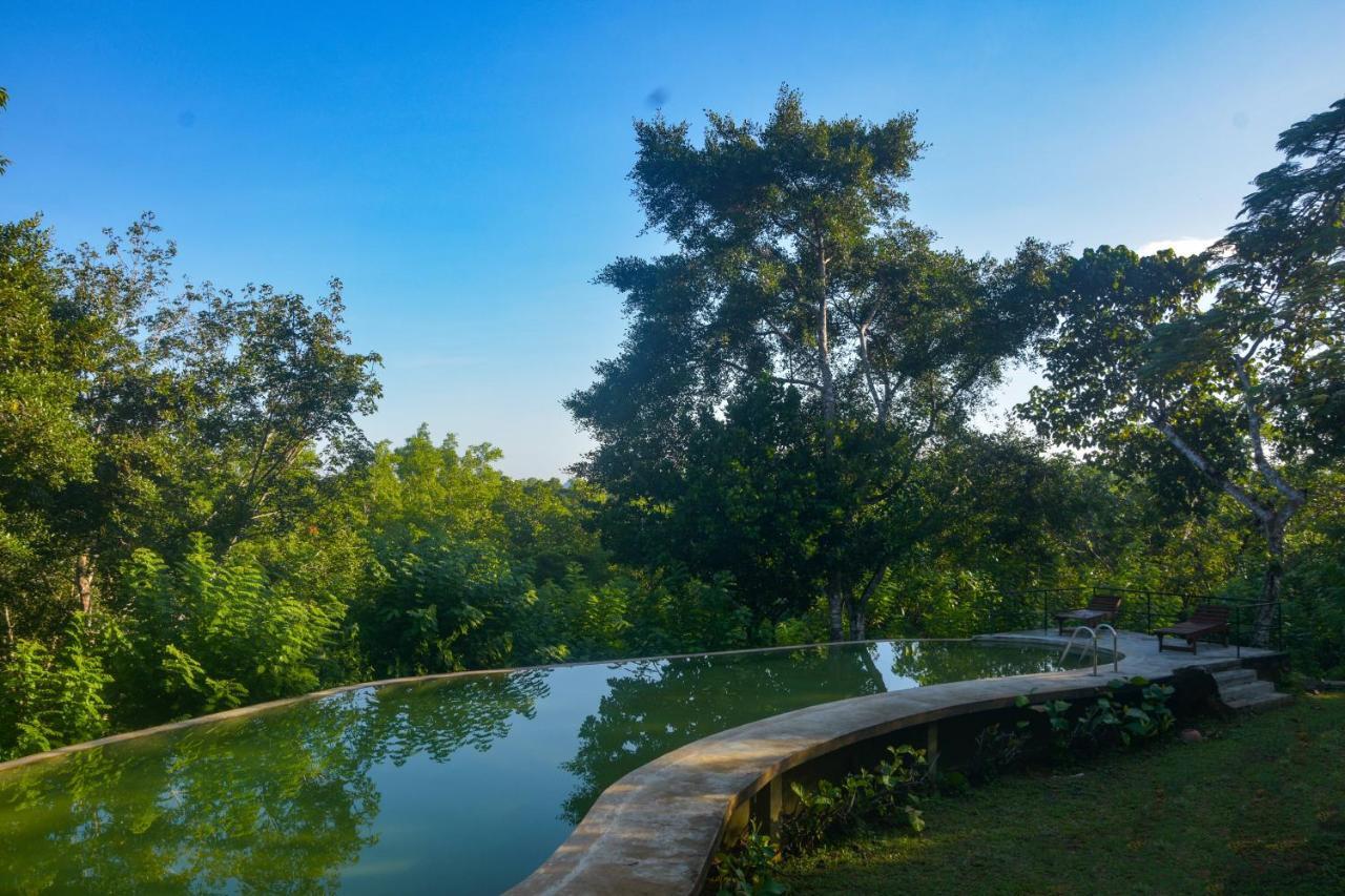 Mangrove Escapes Resort Bentota Bagian luar foto